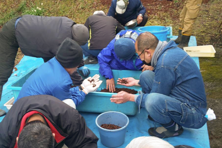 赤蛙公園へホタル放流